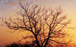 伊朗外长：没有封锁霍尔木兹海峡的计划 邻国应该对美国以色列施压