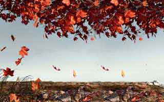 英伟达缓和其对OpenAI投资论调