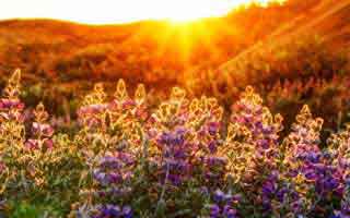 中际旭创：公司生产经营一切正常并于2026年2月28日发布了2025年度业绩快报