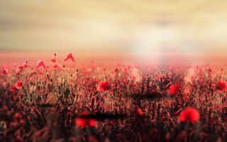 华明装备：美国数据中心、电网配套以及原有的电网改造，都会对电力设备需求形成拉动